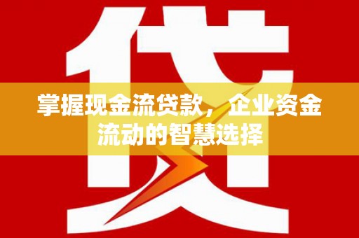 荥经掌握现金流贷款，企业资金流动的智慧选择