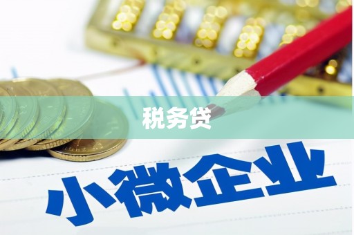 荥经税务贷