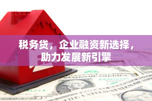 荥经税务贷，企业融资新选择，助力发展新引擎