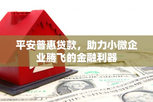 荥经平安普惠贷款，助力小微企业腾飞的金融利器