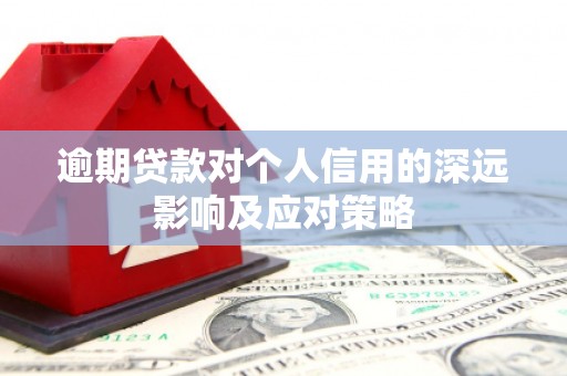 荥经逾期贷款对个人信用的深远影响及应对策略
