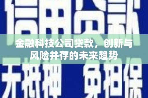 荥经金融科技公司贷款，创新与风险并存的未来趋势