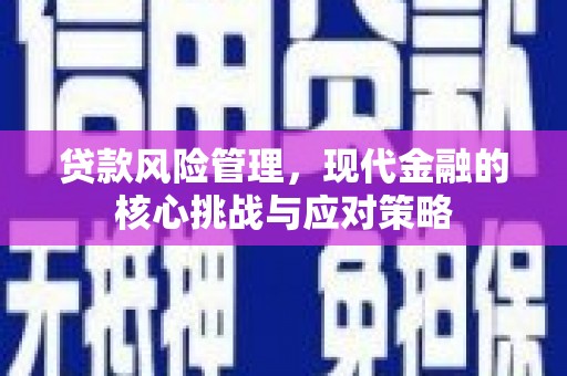荥经贷款风险管理，现代金融的核心挑战与应对策略