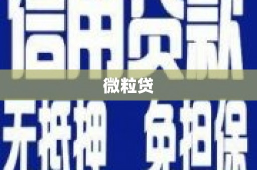 荥经微粒贷