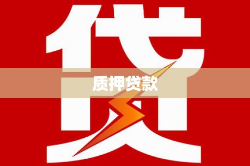 荥经质押贷款