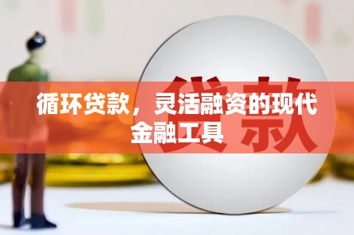 荥经循环贷款，灵活融资的现代金融工具