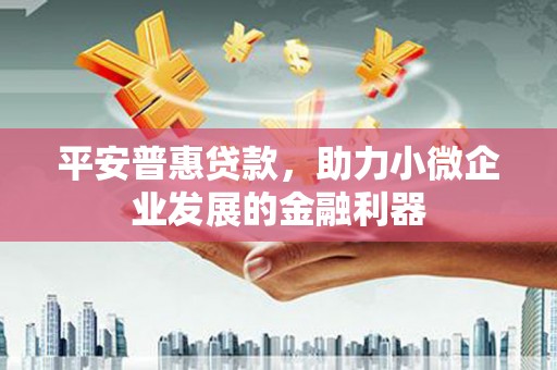荥经平安普惠贷款，助力小微企业发展的金融利器