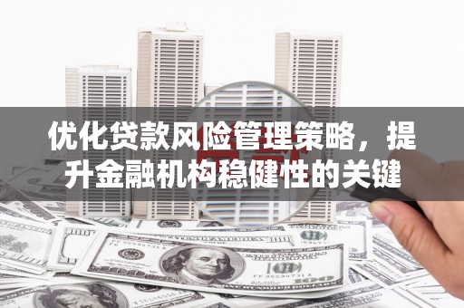荥经优化贷款风险管理策略，提升金融机构稳健性的关键