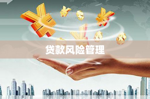 荥经贷款风险管理
