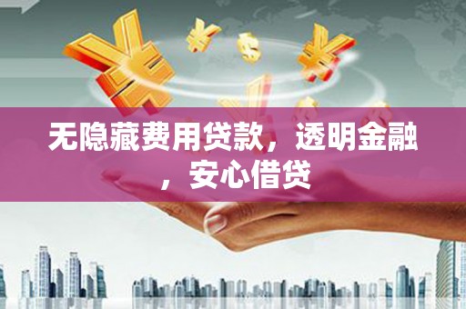荥经无隐藏费用贷款，透明金融，安心借贷