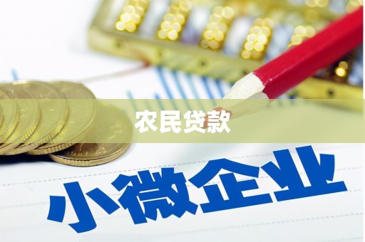 荥经农民贷款