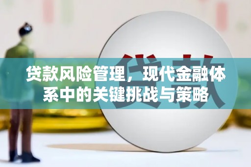 荥经贷款风险管理，现代金融体系中的关键挑战与策略