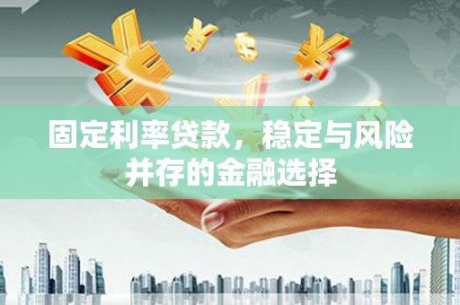 荥经固定利率贷款，稳定与风险并存的金融选择