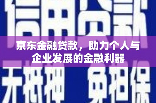 荥经京东金融贷款，助力个人与企业发展的金融利器