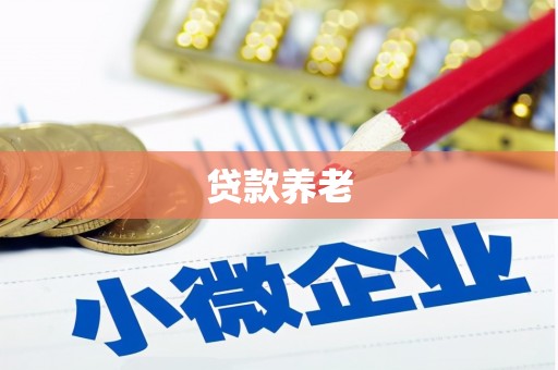 荥经贷款养老