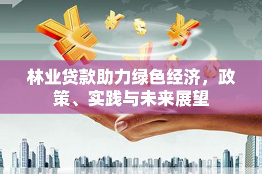 荥经林业贷款助力绿色经济，政策、实践与未来展望