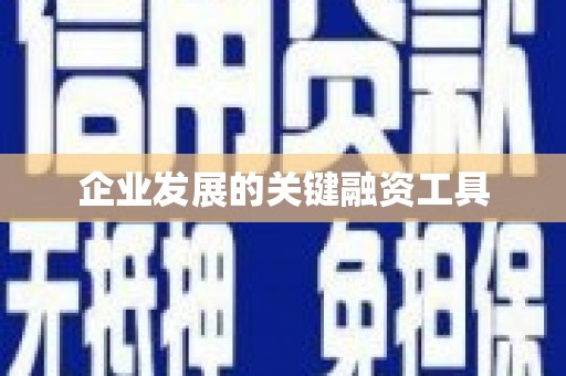 荥经企业发展的关键融资工具