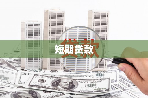 荥经短期贷款
