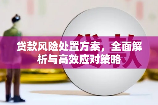 荥经贷款风险处置方案，全面解析与高效应对策略