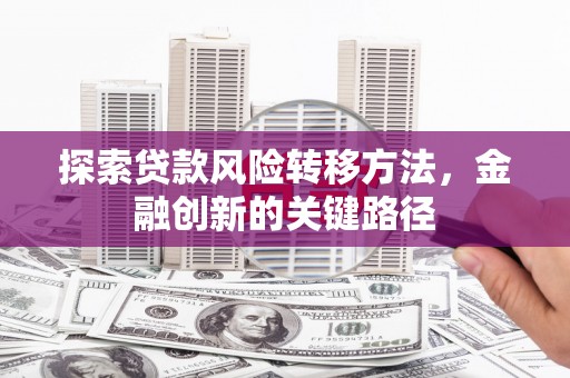 荥经探索贷款风险转移方法，金融创新的关键路径