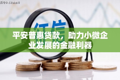 荥经平安普惠贷款，助力小微企业发展的金融利器