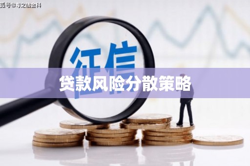 荥经贷款风险分散策略