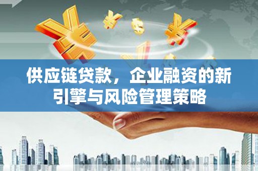 荥经供应链贷款，企业融资的新引擎与风险管理策略