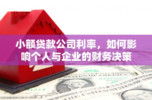 荥经小额贷款公司利率，如何影响个人与企业的财务决策