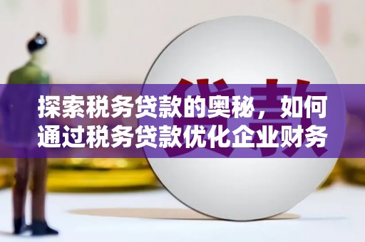 荥经探索税务贷款的奥秘，如何通过税务贷款优化企业财务