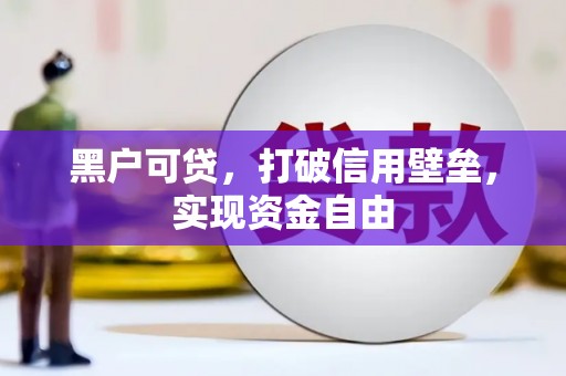 荥经黑户可贷，打破信用壁垒，实现资金自由