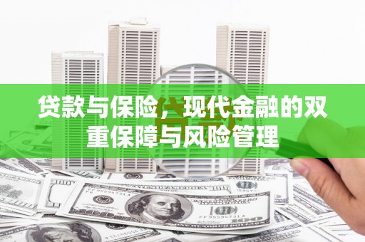 荥经贷款与保险，现代金融的双重保障与风险管理