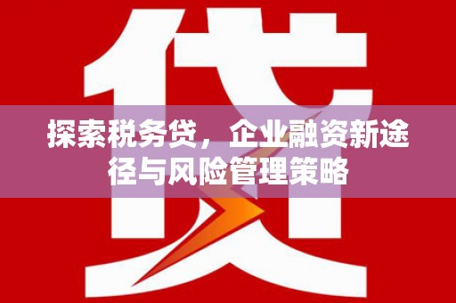 荥经探索税务贷，企业融资新途径与风险管理策略