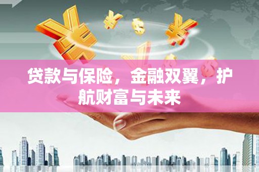荥经贷款与保险，金融双翼，护航财富与未来