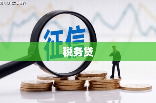 荥经税务贷
