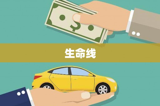 荥经生命线