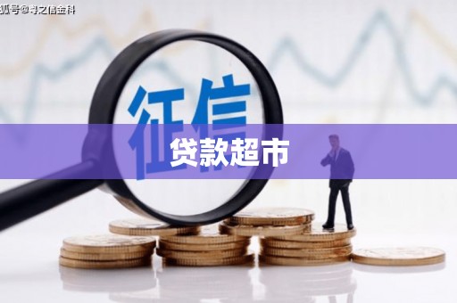 荥经贷款超市