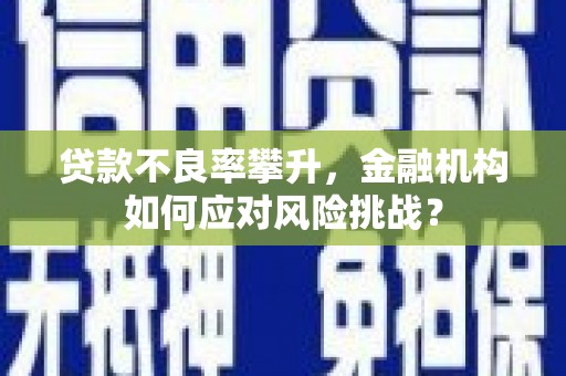 荥经贷款不良率攀升，金融机构如何应对风险挑战？