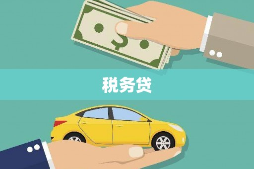 荥经税务贷
