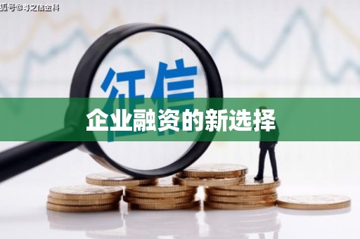 荥经企业融资的新选择