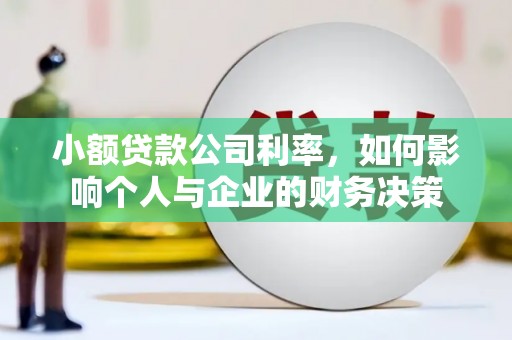 荥经小额贷款公司利率，如何影响个人与企业的财务决策