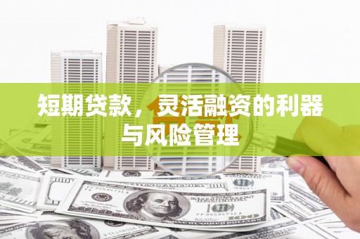 荥经短期贷款，灵活融资的利器与风险管理