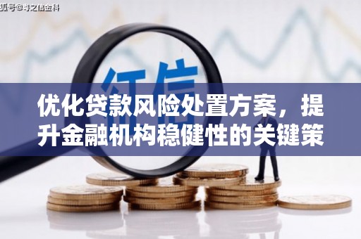 荥经优化贷款风险处置方案，提升金融机构稳健性的关键策略