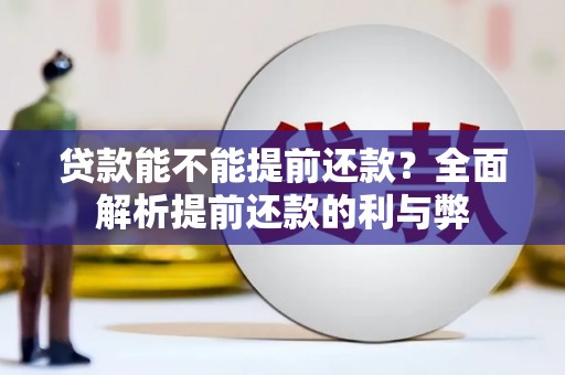 荥经贷款能不能提前还款？全面解析提前还款的利与弊