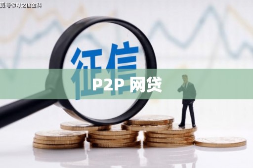 荥经P2P 网贷