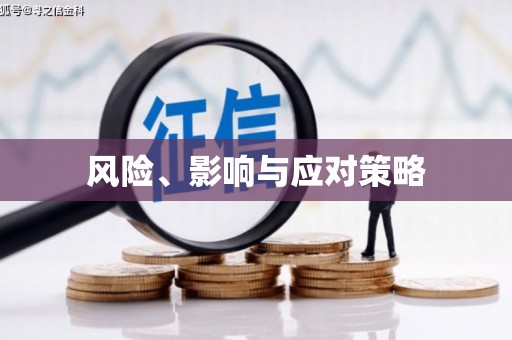 荥经风险、影响与应对策略
