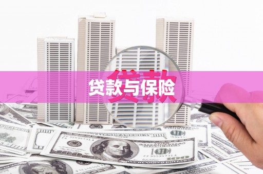 荥经贷款与保险