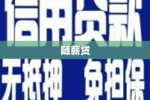 荥经随薪贷