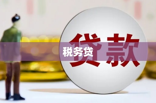 荥经税务贷