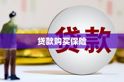 荥经贷款购买保险