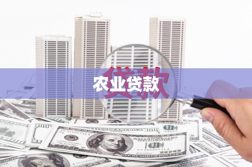 荥经农业贷款
